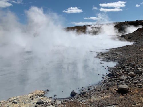 Engjahveir 2019 @YukaOgura