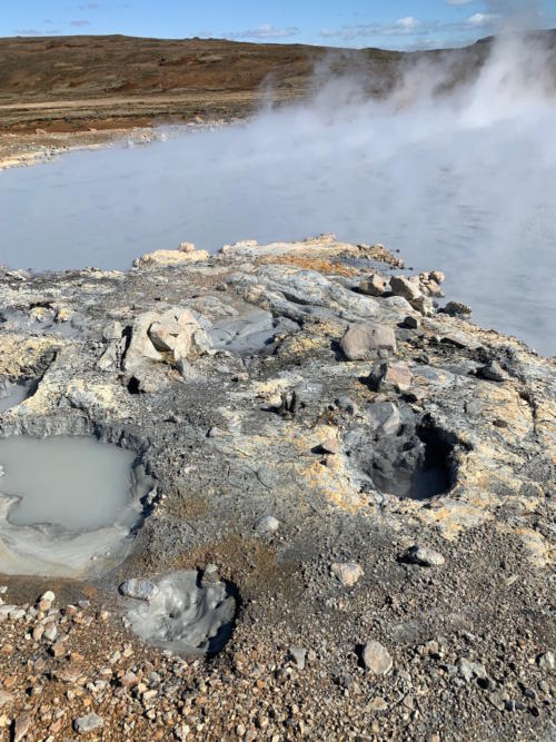 Engjahveir 2019 @YukaOgura