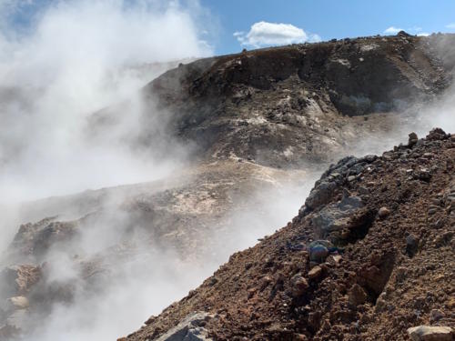 Engjahveir 2019 @YukaOgura