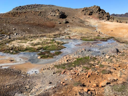 Engjahveir 2019 @YukaOgura