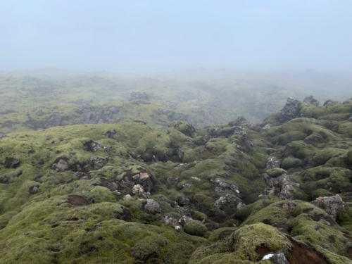 Reykjanesfolkvangur 2019 May @YukaOgura