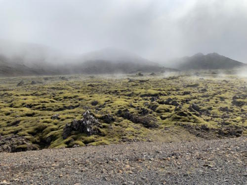 Reykjanesfolkvangur 2019 May @YukaOgura